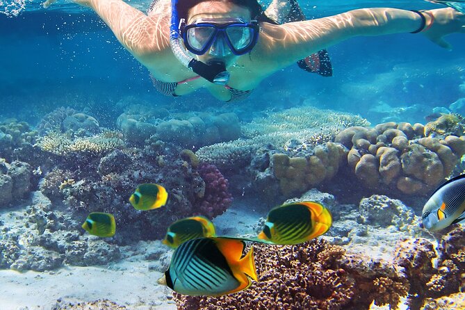 Explore Turtle Canyons Waikiki Snorkel and Sail Adventure - What You’re Really Booking: a 3-Hour Mix of Sail and Snorkel