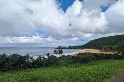 Famed North Shore Tour - Ka’ena Point State Park: Mokulei’a Views, Tide Pools, and Seal Spotting
