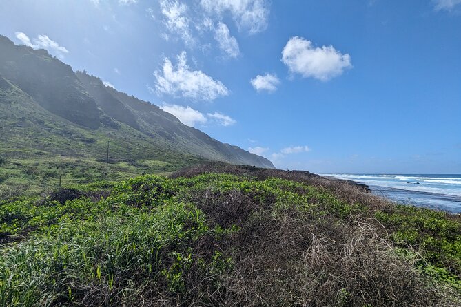 Famed North Shore Tour - Puaʻena Point Beach Park to Shark’s Cove: Turtle Chances and Clear-Water Snorkel Time