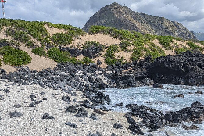 Famed North Shore Tour - Waimea Bay: Eddie-Wave Legends and Jump Rock Summer Fun