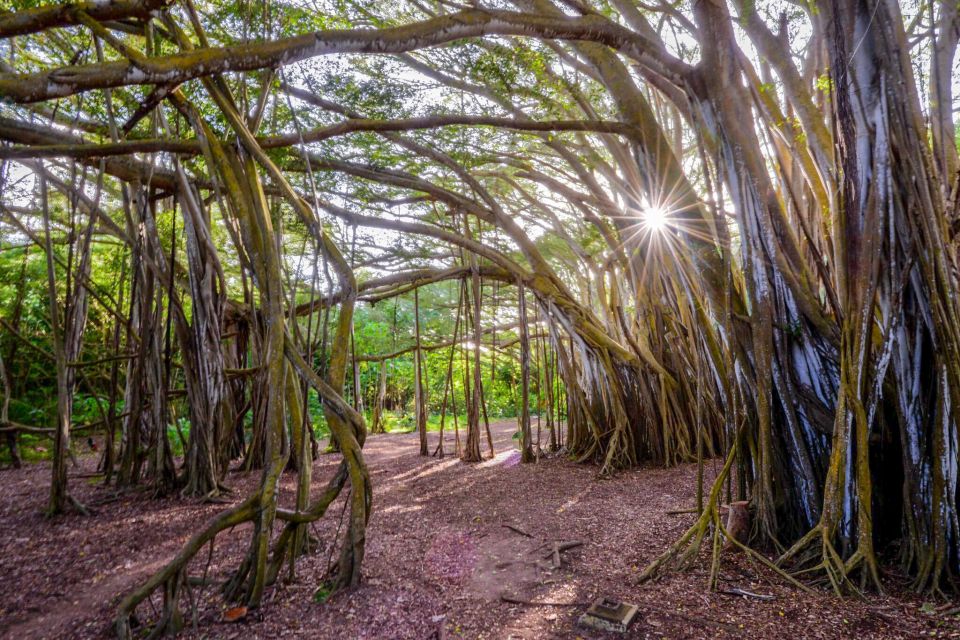 First Day Must 10-Hour Sunrise & Full Island Photo Tour - Key Points to Know Before You Go