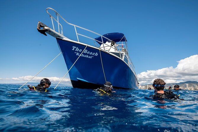 First Time Introductory Scuba Dive - Equipment and Snacks: The Value in What’s Included