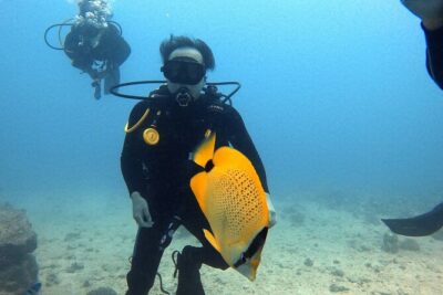 First Time Introductory Scuba Dive - Oahu Timing and How the 11:00am Start Shapes Your Day