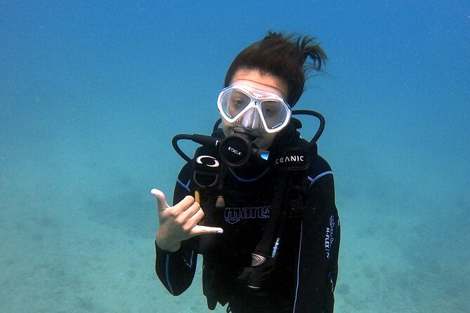 First Time Introductory Scuba Dive - Wildlife Sightings: Sea Turtles, Octopuses, and Electric Eels