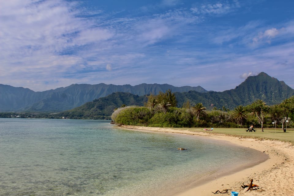 From Honolulu: Epic Island Tour - Halona Blowhole Eruptions and Makapuu Point’s Whale-Spotting Potential