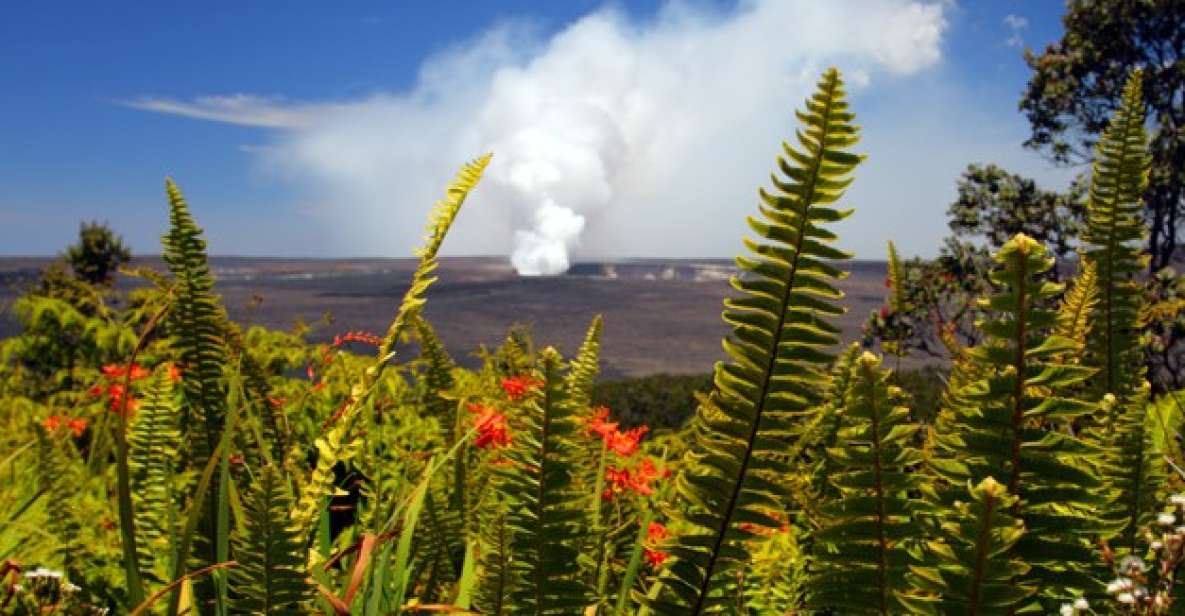 From Oahu: Big Island Volcano Adventure - Nāhuku Lava Tube: walking through a cooled passageway