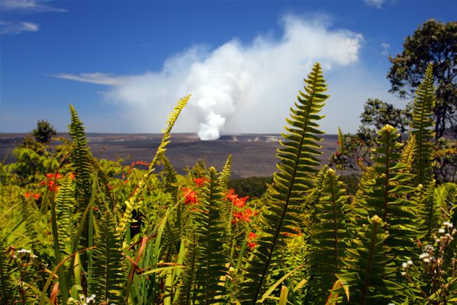 From Oahu: Big Island Volcano Adventure - Black sand beach finale: where volcanic origins hit the shoreline