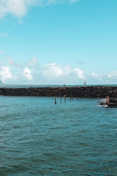 From Oahu: Kauai Highlights & Movie Sites - First stop: Opaeka‘a Falls and the kind of water you can’t fake