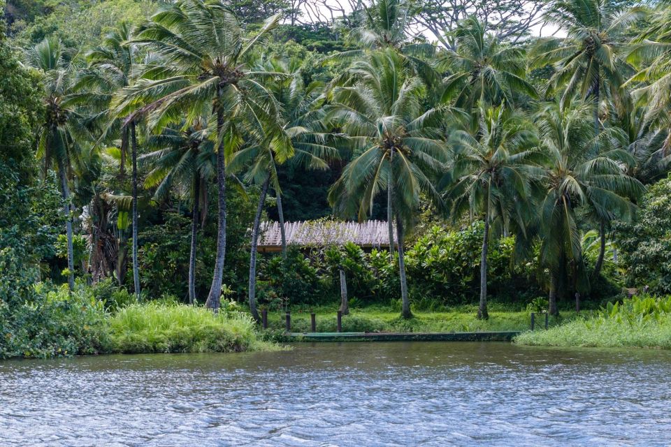 From Oahu: Kauai Waimea Canyon & Wailua River Tour - Opaeka‘a Falls, Old Kōloa Town, and the lunch you plan yourself