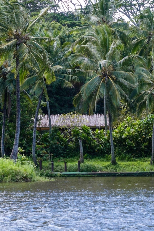 From Oahu: Kauai Waimea Canyon & Wailua River Tour - Wailua River cruise: a calmer pace in the middle of the day