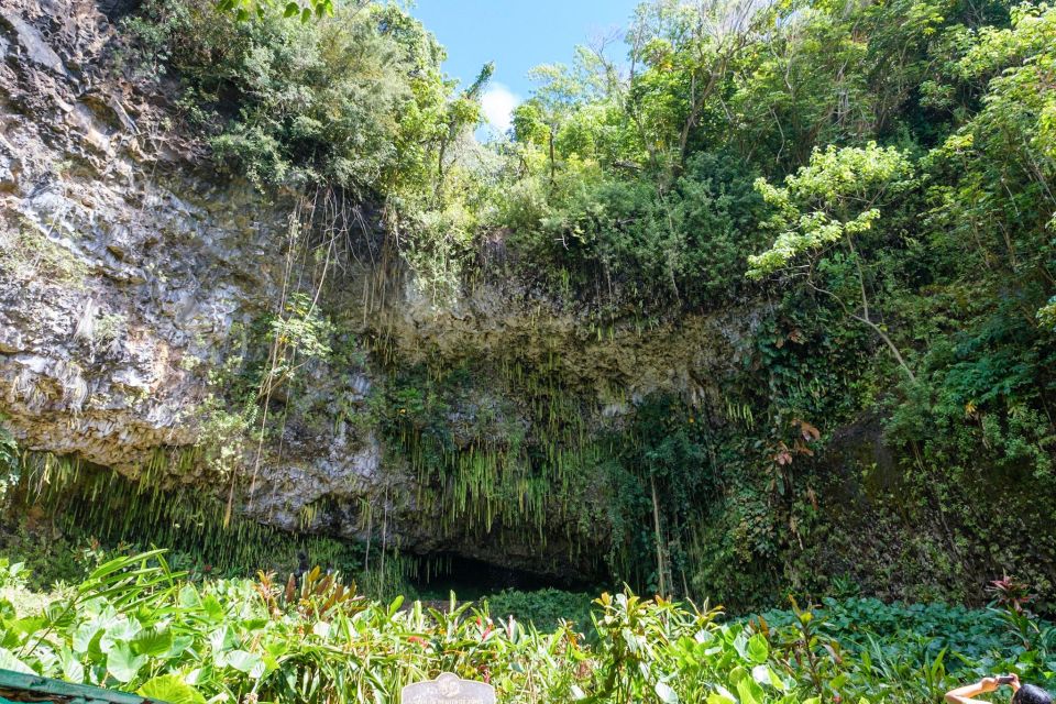 From Oahu: Kauai Waimea Canyon & Wailua River Tour - Fern Grotto: long-tail boat ride and the ferns everyone imagines