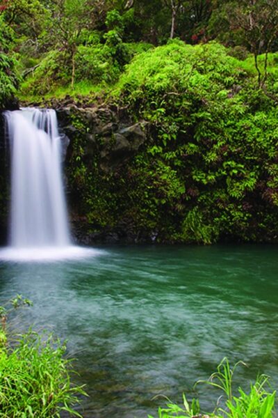 From Oahu: Maui Road to Hana Sightseeing Tour - Paia, Kaumahina, and Keanae Peninsula: coast views and taro textures