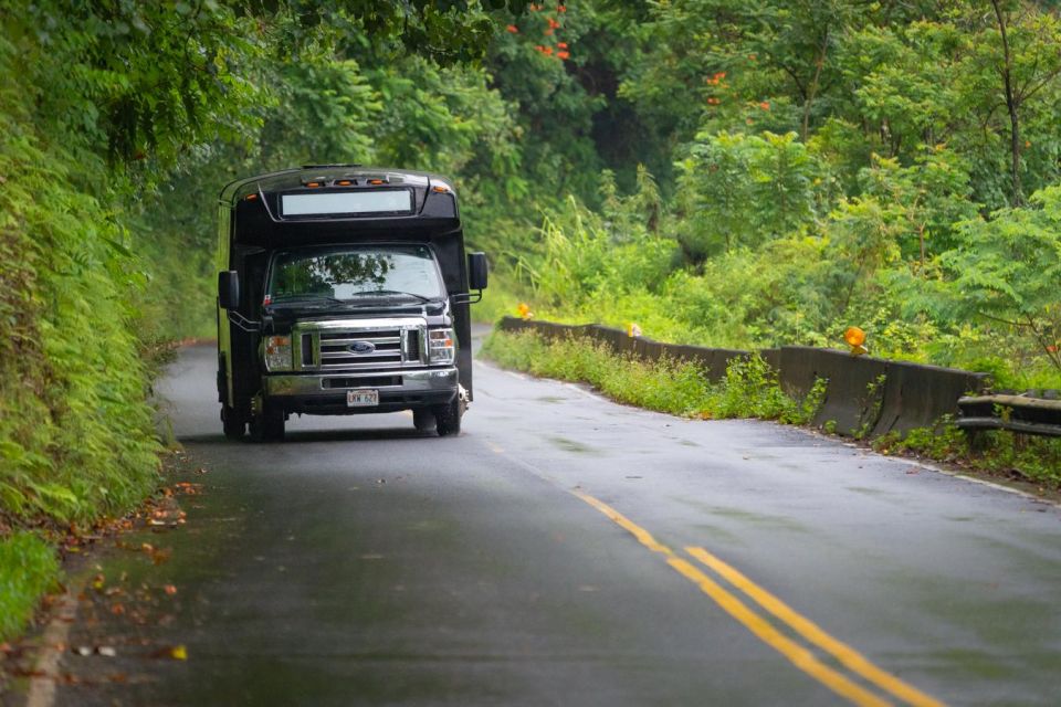 From Oahu: Maui Road to Hana Sightseeing Tour - Price and value: is $575 a smart use of your Maui time?