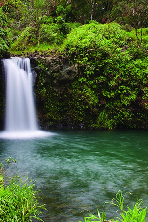 From Oahu: Maui Road to Hana Sightseeing Tour - Paia, Kaumahina, and Keanae Peninsula: coast views and taro textures