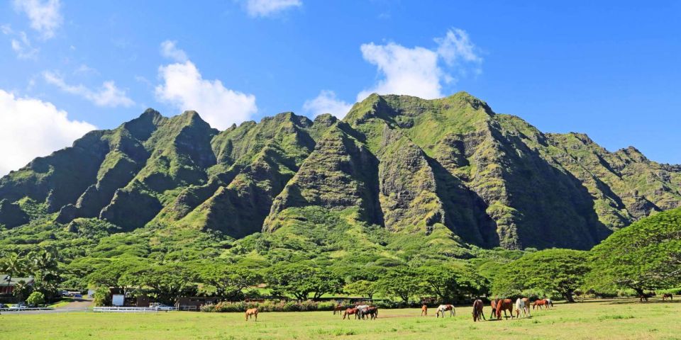 From Waikiki: Circle Island Tour - Key things you’ll notice on this Oahu Circle Island tour