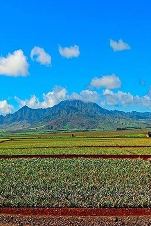 From Waikiki: Oahu Grand Circle Island Experience - Dole Plantation and Green World Coffee Farm: Taste Stops, Not Just Shopping