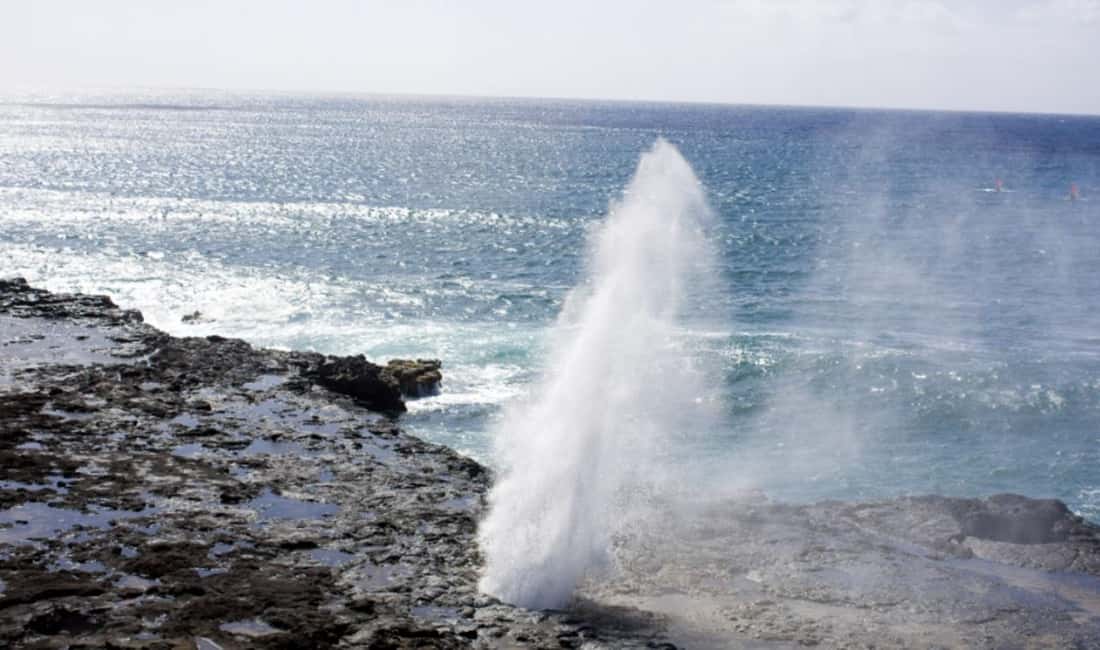 From Waikiki: Oahu Scenic Half-Day Circle Island Tour - Pickup Timing: Why the 6:05 AM Option Matters