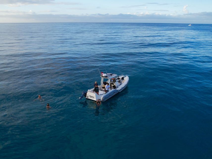 From Waikiki: Turtle Canyon Snorkeling Tour - A realistic plan for your time in Waikiki