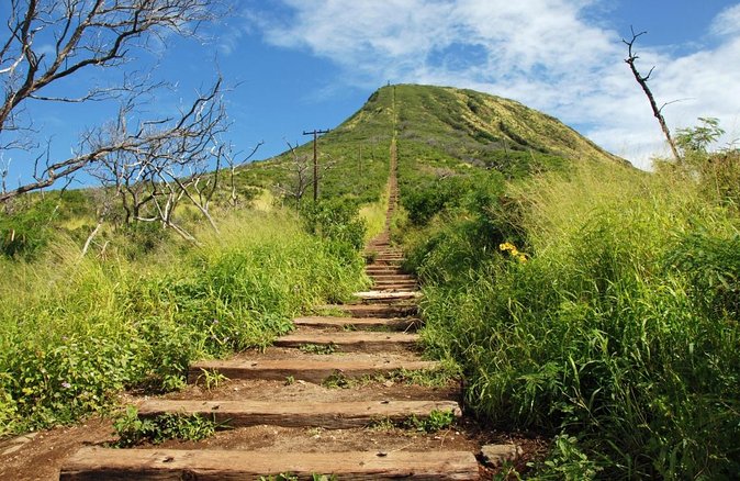 Full-Day Guided Adventure in Koko Head Stairs and Southeast O'ahu - Key Takeaways Before You Go