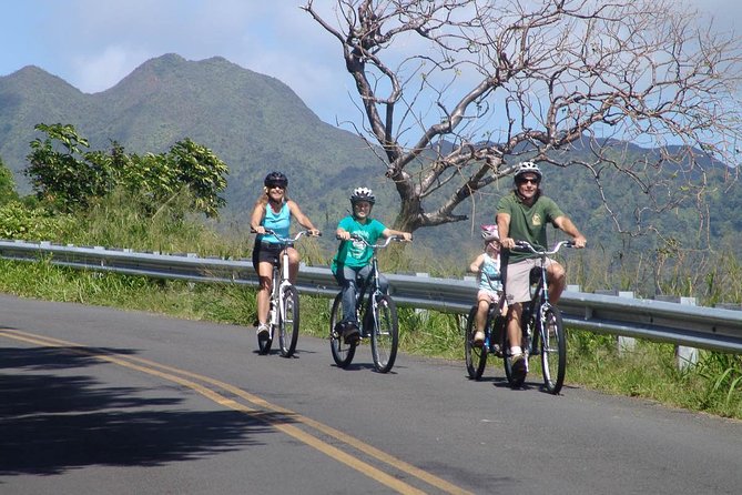 Full Day Oahu Bike, Hike, Sail and Snorkel Combo - The 2-Mile Guided Rainforest Hike: Short, Scenic, and Not Just Pretty