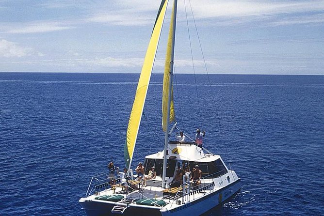 Full Day Oahu Bike, Hike, Sail and Snorkel Combo - The Pu’u Ohia Downhill Bike Ride: Easy Effort, Real Satisfaction