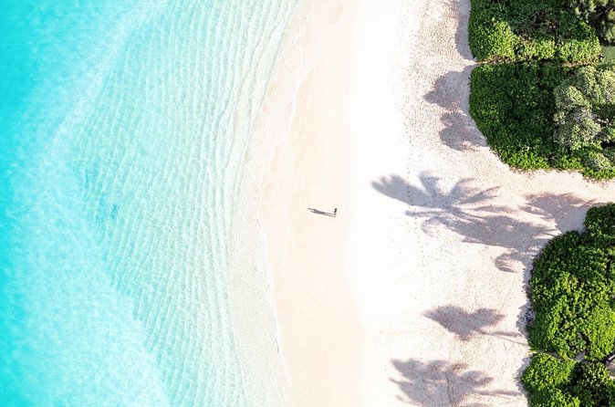 Full-Day Tour to Kailua Hawaii with Return Trip Shuttle - How the tour guide experience raises (and protects) your day