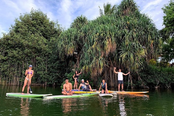 Group Stand Up Paddle Lesson and Tour - Key highlights worth planning around
