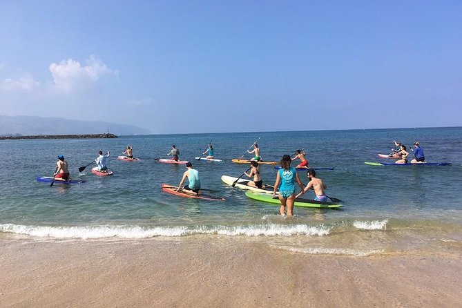 Group Stand Up Paddle Lesson and Tour - SUP Lesson Setup at Haleiwa Beach Park War Memorial