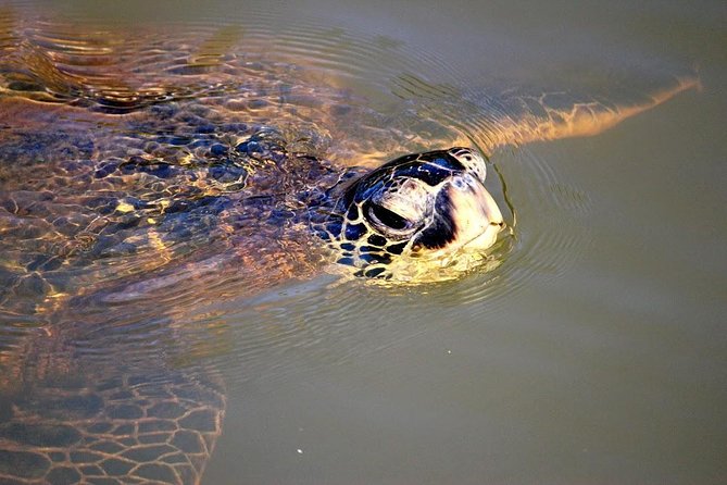 Group Stand Up Paddle Lesson and Tour - What You Learn While You’re Afloat