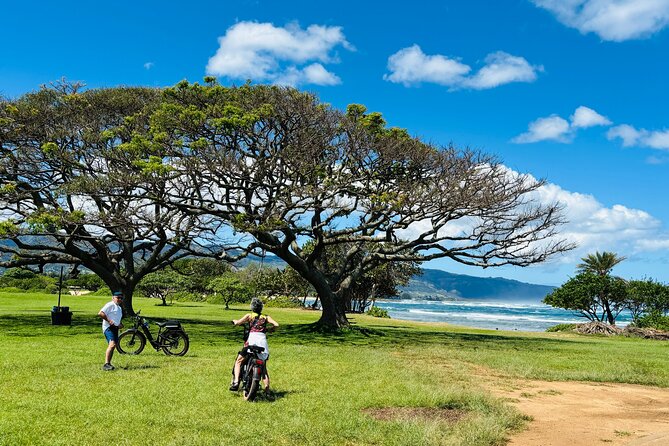 Guided E-Bike Tour in North Shore - Key highlights in plain terms
