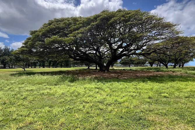 Guided E-Bike Tour in North Shore - E-bikes on Oahu: comfort, control, and who this suits