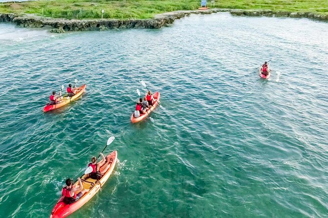 Guided Kayak Tour to Kailua’s Twin Islands - Why this Kailua kayak route feels special (and not like a drive-by)