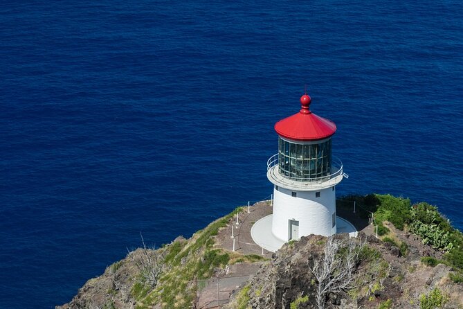 Half-Day Hiking Tour to Diamond Head and Makapuu Lighthouse - Group size, guide style, and what the van rides add