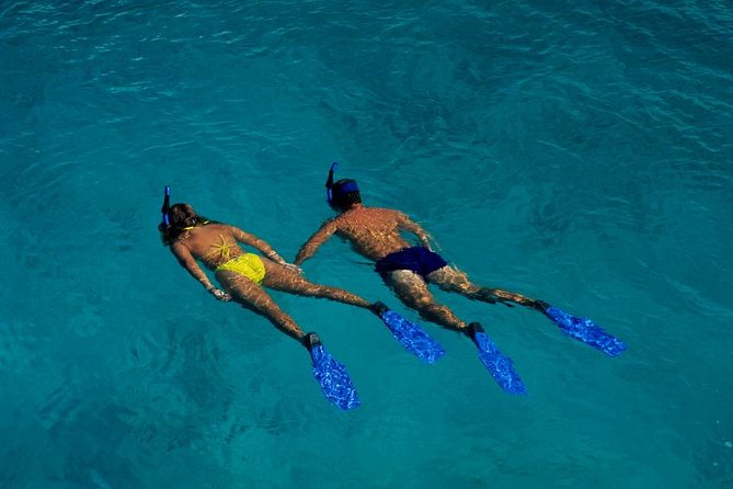 Half Day Oahu Combo Adventure: Bike, Sail and Snorkel - Hotel pickup and the drive toward Tantalus Mountain