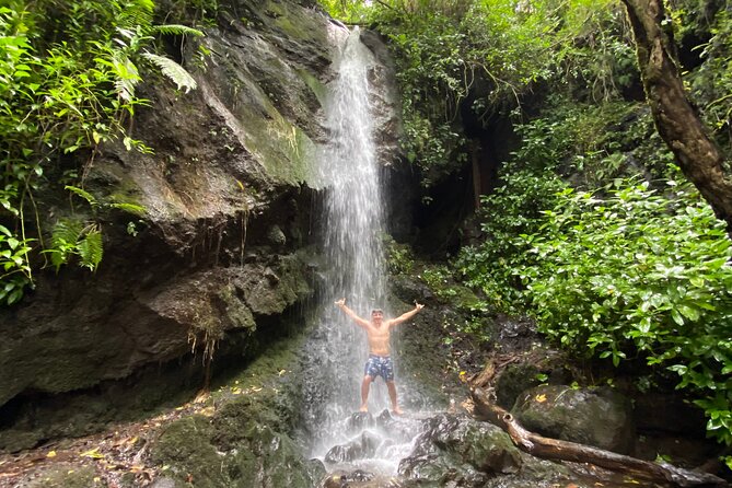 Half-Day Waterfall Tour - Hike, Scenic, Food and Photo - What You’ll Like Most on This 4.5-Hour Plan
