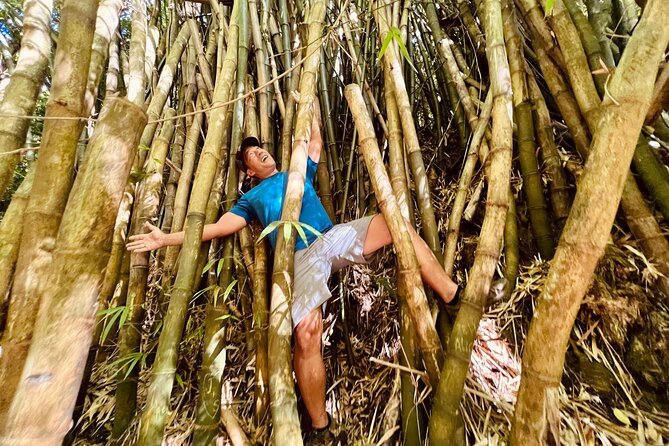 Half-Day Waterfall Tour - Hike, Scenic, Food and Photo - Key Highlights to Know Before You Go