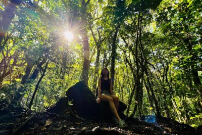 Half-Day Waterfall Tour - Hike, Scenic, Food and Photo - Getting Started in Waikiki: Pickup, Small Group, Morning Rhythm