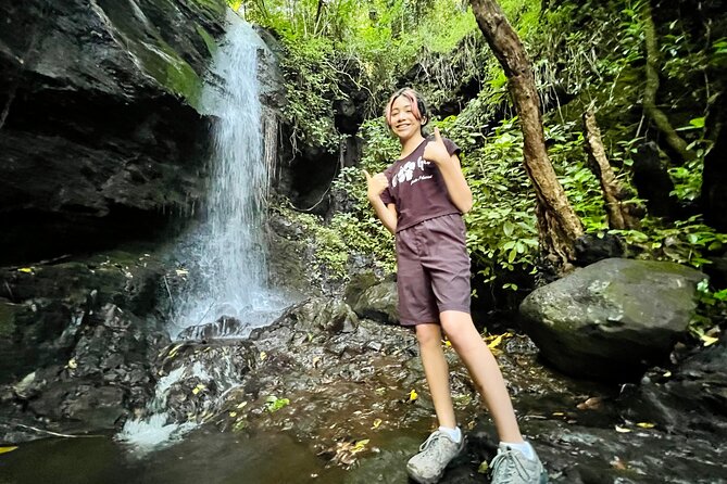 Half-Day Waterfall Tour - Hike, Scenic, Food and Photo - Poke Stop at the End: How the Food Fits In