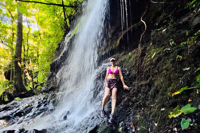 Half-Day Waterfall Tour - Hike, Scenic, Food and Photo - Price and Value: Is $115 Worth It for 4.5 Hours?