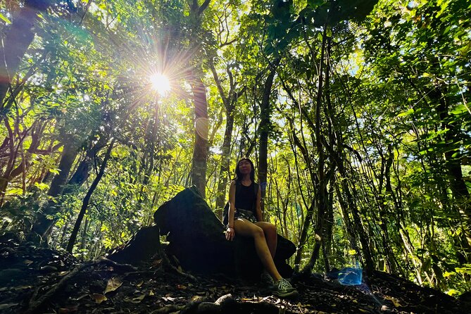 Half-Day Waterfall Tour - Hike, Scenic, Food and Photo - Getting Started in Waikiki: Pickup, Small Group, Morning Rhythm