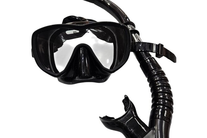 Hanauma Bay Experience with Admission Ticket and Equipment - What you get for $85: admission and snorkel gear value