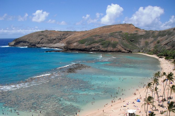 Hanauma Bay Guided Snorkel Tour (with guaranteed entrance time) - Where you meet and how the tour starts