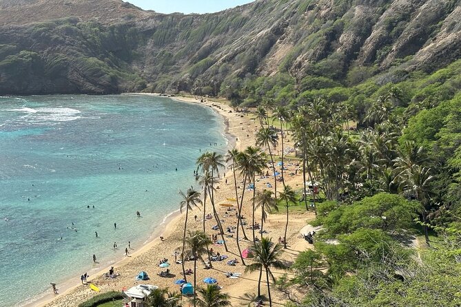 Hanauma Bay Snorkel Lesson - Meeting point and timing: how to plan your day around it