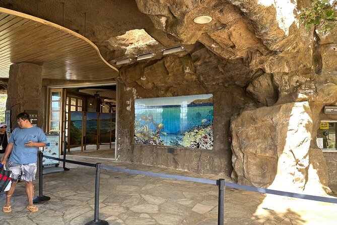 Hanauma Bay Snorkel Lesson - The big caution: Hanauma Bay entry rules and guide matching