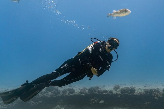 Hawaii DISCOVER Beginner + Certified 2 Tank Shallow Scuba Diving - Key highlights you should care about