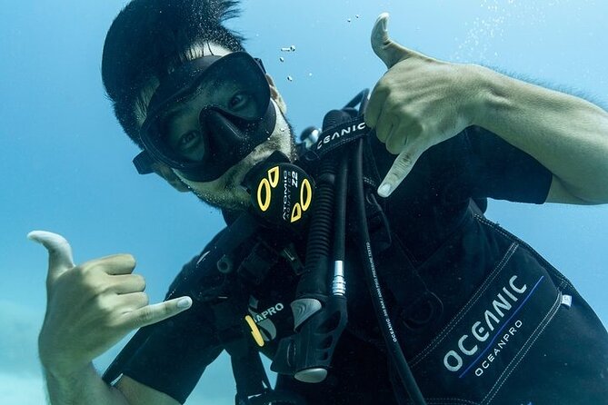 Hawaii DISCOVER Beginner + Certified 2 Tank Shallow Scuba Diving - Gear Fit, Comfort, and the Stuff That Can Make or Break It