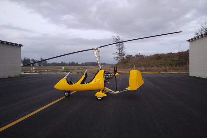 Hawaii Private Gyroplane Flights Over Oahu’s North Shore - In the air over Oahu: your view, your pilot, and the wildlife moments