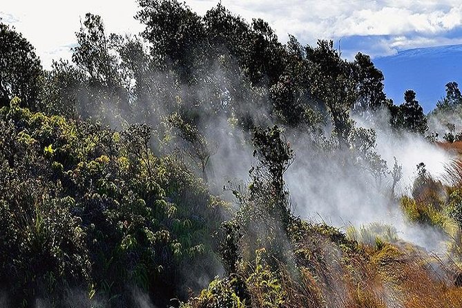 Hawaii Volcanoes National Park Experience from Oahu - Hawaii Volcanoes National Park: The Stops That Make This Tour Worth It