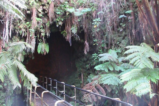 Hawaii Volcanoes National Park Experience From the Big Island - Price and pickup: what you’re really paying for at $139