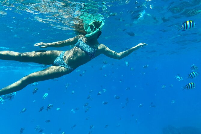 Hawaiian Culture & Snorkel Adventure with Photo/Videos - Quick Key Points (What Makes This Tour Worth Your Time)